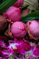 post-40226-0-55073200-1389360126_thumb.j