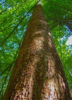 post-40226-0-62673300-1389805748_thumb.j