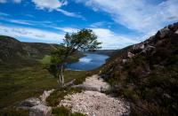 post-40226-0-70797500-1389363051_thumb.j