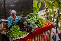 post-40226-0-74610100-1391015056_thumb.j