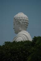 post-40226-0-77333600-1390553354_thumb.j