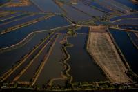 post-40226-0-82425200-1390155935_thumb.j