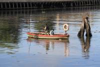 post-40226-0-84582400-1389719655_thumb.j