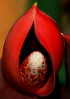 post-40226-0-86495100-1390583840_thumb.j