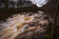 post-40226-0-86687500-1389362903_thumb.j