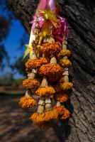 post-40226-0-93067200-1389360006_thumb.j