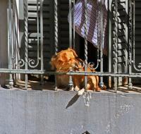 post-40226-0-93292400-1389719587_thumb.j