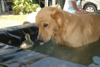 post-40226-0-97729900-1390219097_thumb.j