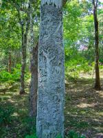 post-40226-0-99780100-1390234335_thumb.j