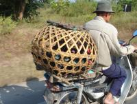 post-65750-0-01902100-1390945064_thumb.j