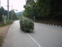 post-65750-0-68255700-1390944911_thumb.j