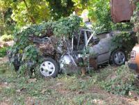 post-65750-0-68260800-1390945640_thumb.j