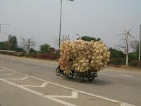 post-65750-0-84682600-1390944982_thumb.j