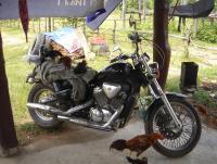 post-65750-0-92025000-1390425626_thumb.j