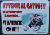 post-88861-0-06696500-1389954686_thumb.j