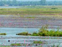 post-102759-0-06819000-1421572053_thumb.