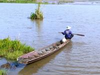 post-102759-0-39596400-1421572171_thumb.