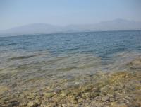 post-105817-0-44341400-1421334588_thumb.