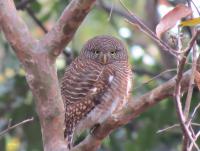 post-12069-0-17072700-1421673524_thumb.j