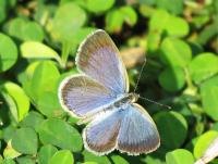 post-12069-0-28975900-1420108358_thumb.j