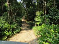 post-12069-0-28979400-1422538056_thumb.j