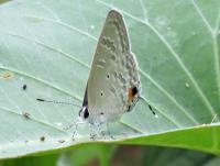 post-12069-0-35267600-1420363612_thumb.j