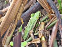 post-12069-0-49959800-1421905290_thumb.j