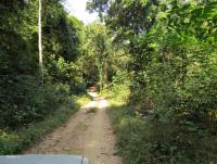 post-12069-0-92439800-1422537994_thumb.j