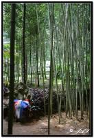 post-153732-0-61314100-1420077086_thumb.