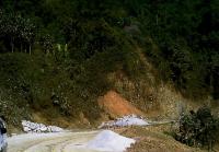 post-174911-0-04475400-1420509908_thumb.