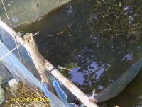 post-174911-0-64001300-1420510082_thumb.