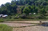 post-174911-0-75172300-1420547941_thumb.