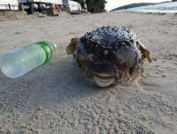 post-17753-0-82417600-1420681903_thumb.j