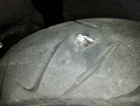 post-184955-0-53759300-1422005044_thumb.