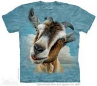 post-213129-0-00294300-1420995268_thumb.