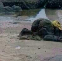 post-213129-0-04738900-1421873242_thumb.