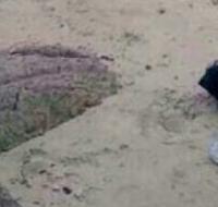 post-213129-0-32365400-1421873263_thumb.