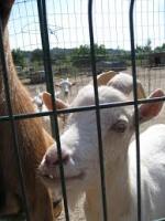 post-213129-0-59895500-1420995219_thumb.