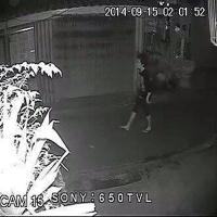 post-213129-0-83167800-1420874421_thumb.