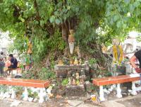 post-220488-0-18370200-1420526360_thumb.