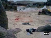 post-221615-0-34504000-1422602098_thumb.