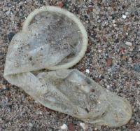 post-223227-0-19702800-1421891337_thumb.