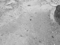 post-223227-0-50197900-1421892663_thumb.