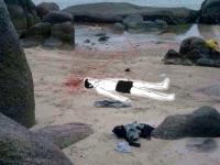 post-223227-0-63591700-1421892960_thumb.