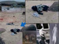 post-223227-0-84931400-1421076687_thumb.