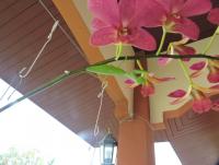 post-26396-0-25103400-1422083558_thumb.j