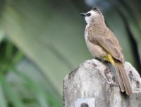 post-26396-0-29015300-1422083808_thumb.j