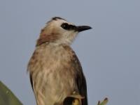 post-26396-0-38323000-1422083941_thumb.j