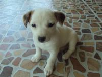 post-32351-0-15361400-1422730651_thumb.j