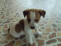 post-32351-0-52824700-1422730630_thumb.j